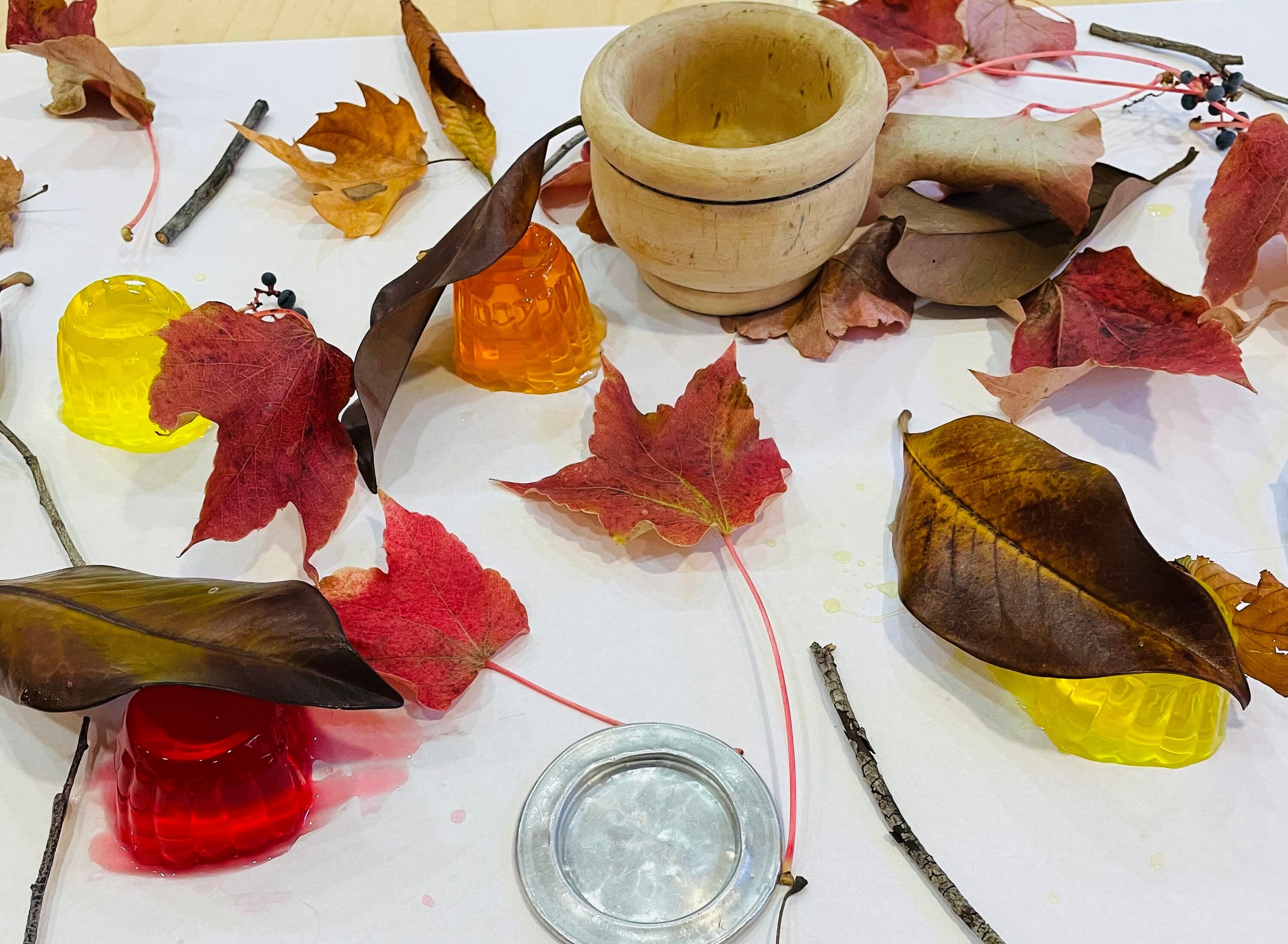 Experimentació amb gelatines!