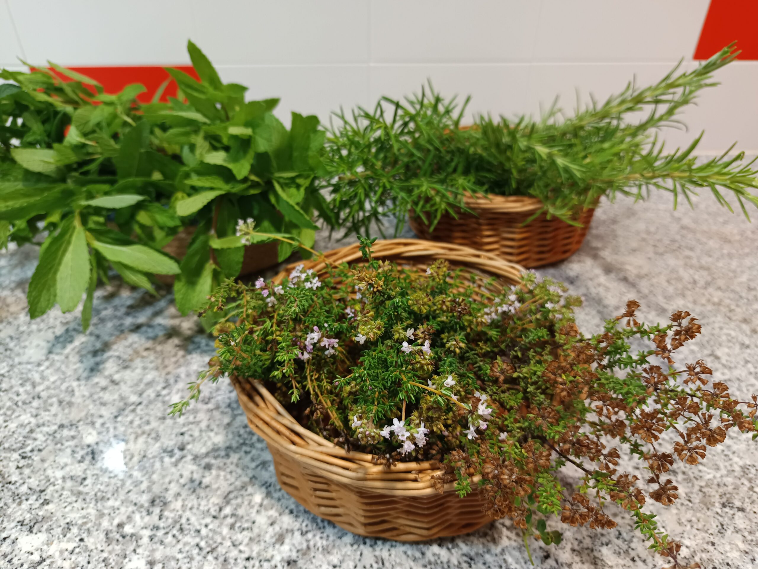 Educació sensorial amb plantes aromàtiques