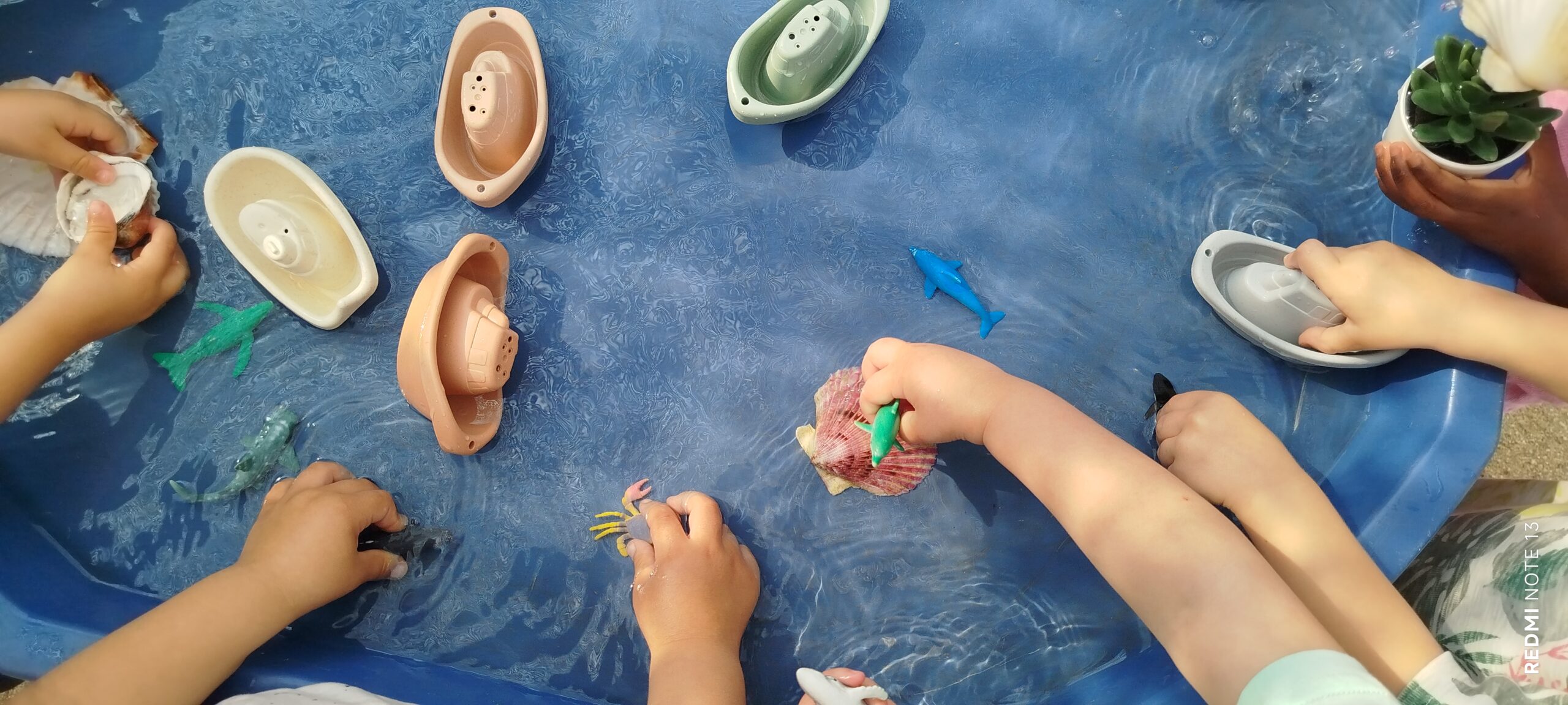 Escenaris simbòlics i d’experimentació: Minimons marins