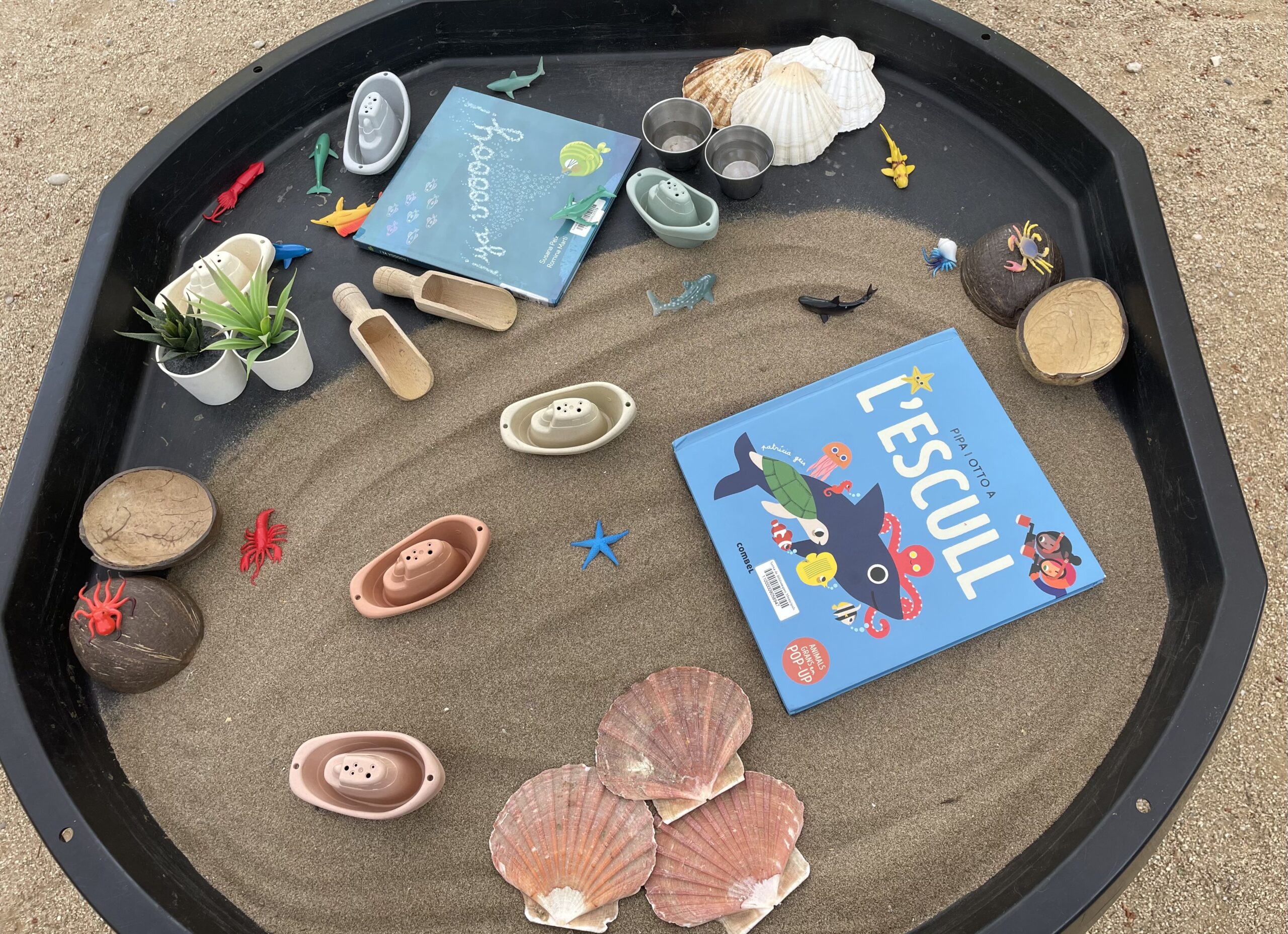Escenaris simbòlics i d’experimentació: Animals que viuen a l’oceà i a la costa